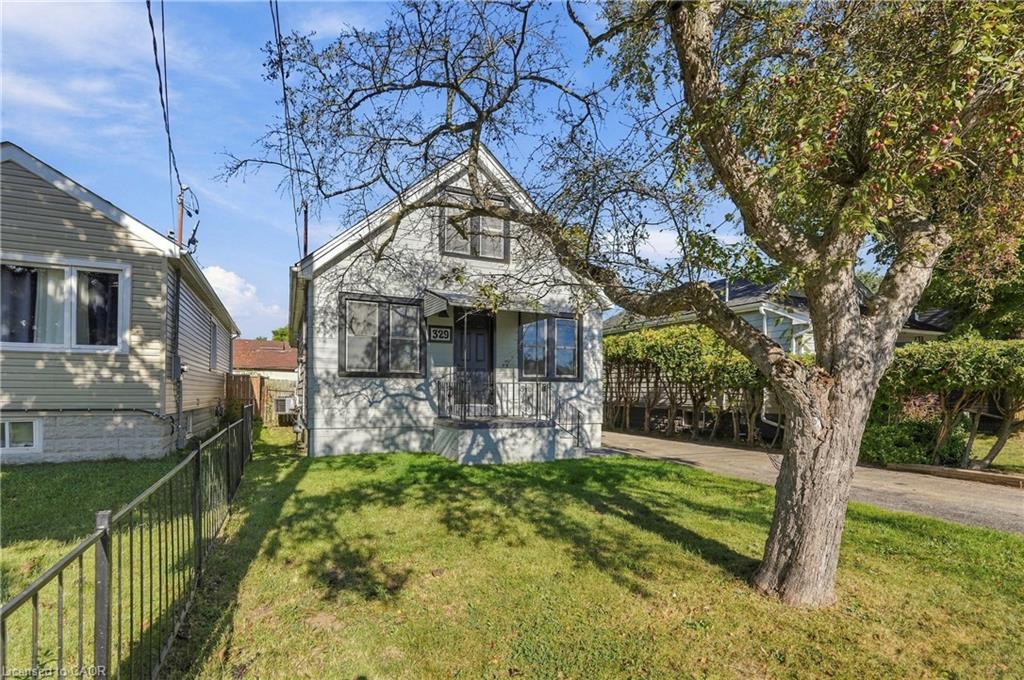 329 Talbot Street, Hamilton 3
