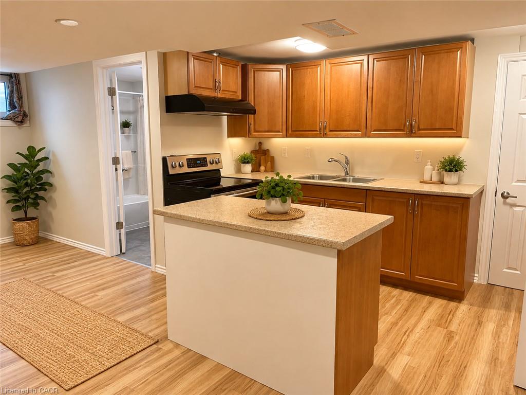 Unit Lower - 249 Blucher Street, Kitchener 4