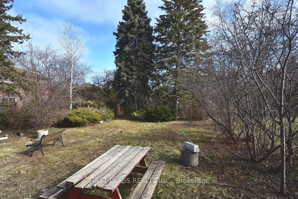 Unit Back - 319 Senlac Road, North York 3
