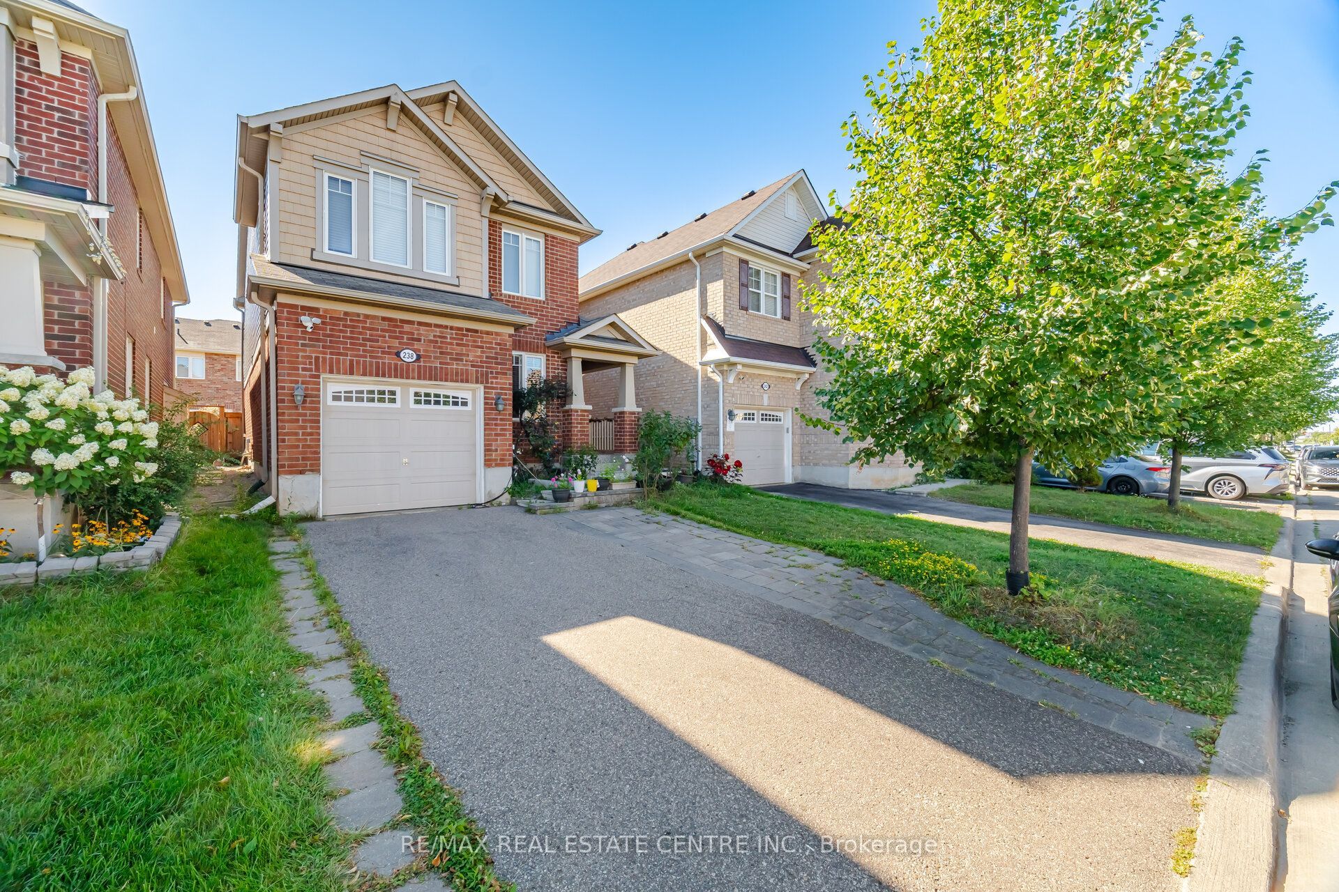 Unit Basement Only - 238 Cedric Terrace, Milton 4